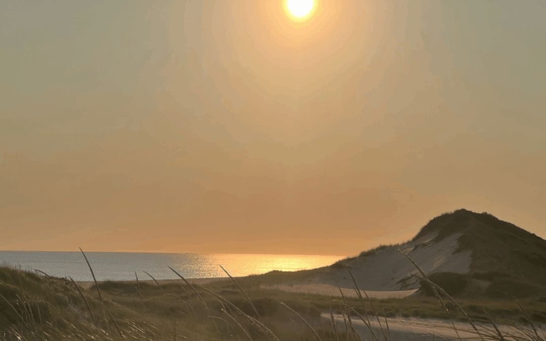 Meet Silas, Former Rancher Turned Cape Cod Crime Fighter