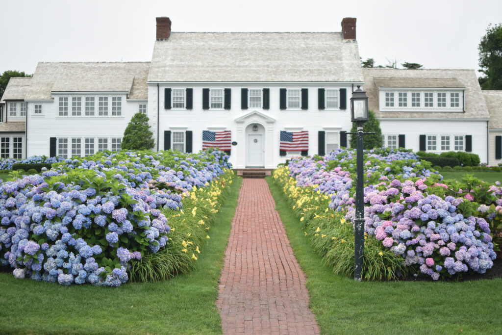 A beautiful Cape Cod estate with a brick sidwalk lined by hydrangea bushes in full bloom.