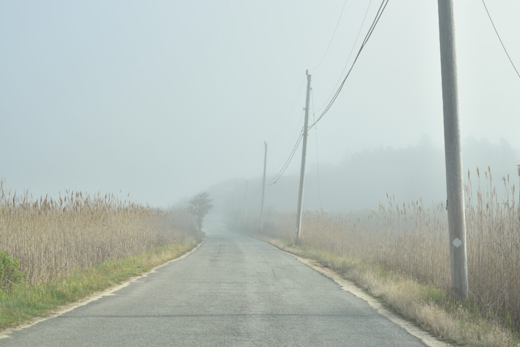One lane road to the beach on a foggy morning