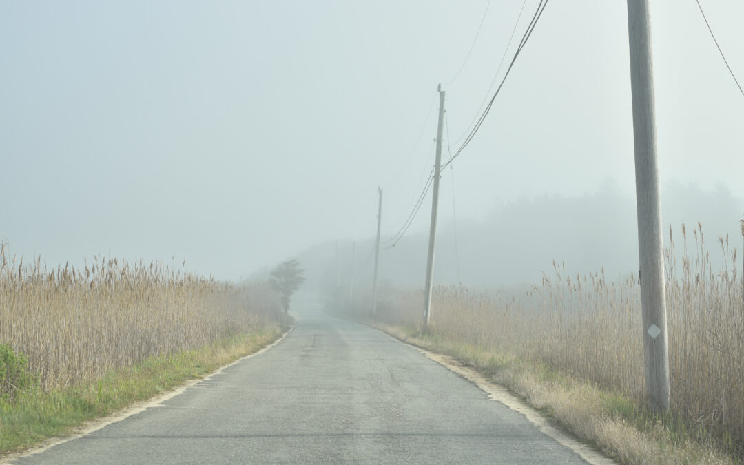 Inside the Scene: Foggy Salt Marsh