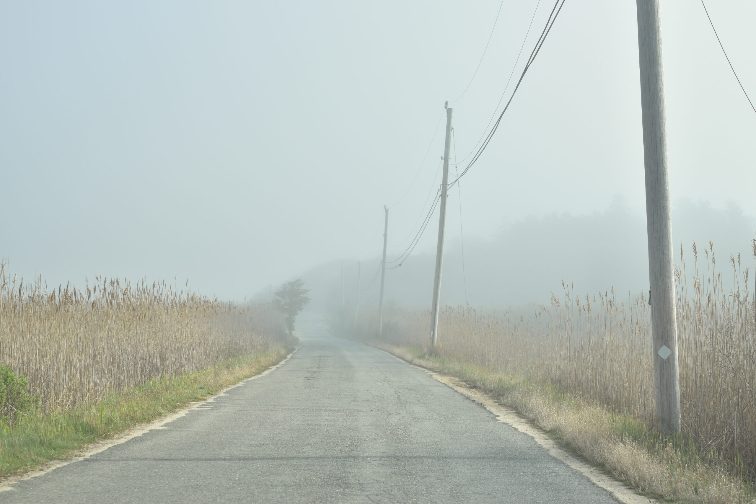 One lane road to the beach on a foggy morning