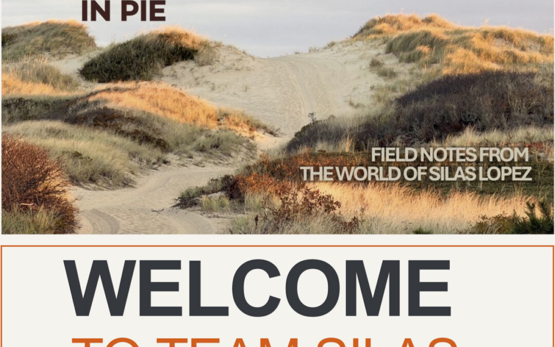 Newsletter — August 2026
