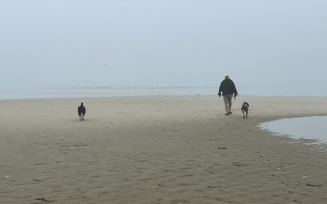 A Man, His Dog, and a Few Other Questions