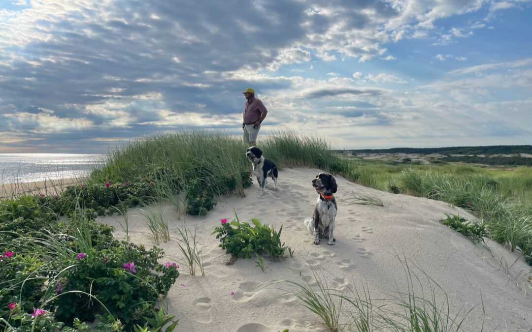 Postcard From The Dunes—August 2026